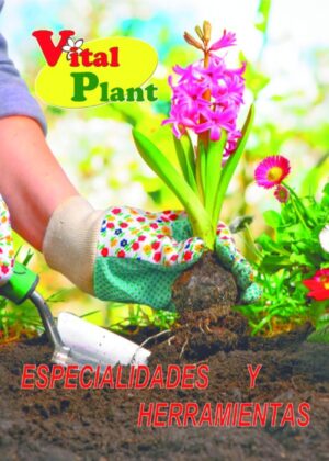 ESPECIALIDADES