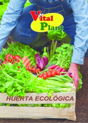HUERTA ECOLÓGICA